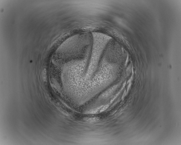 X0000076250689200610191649