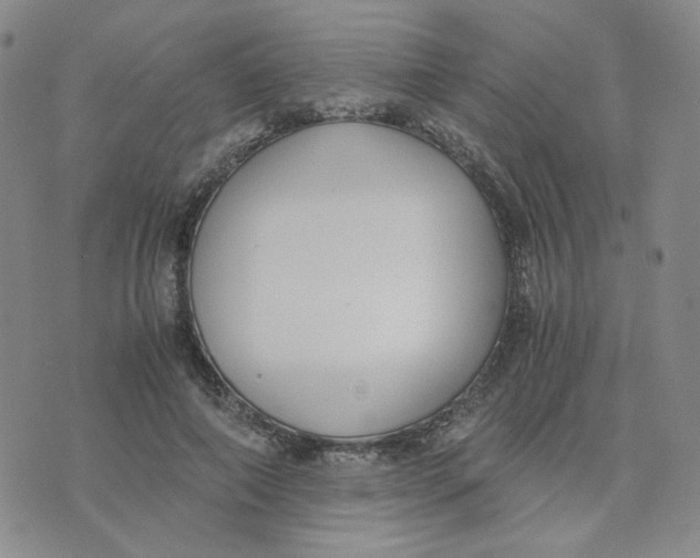 X0000076250690200610191649