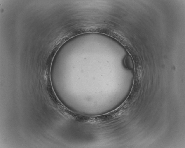 X0000076250691200610191649