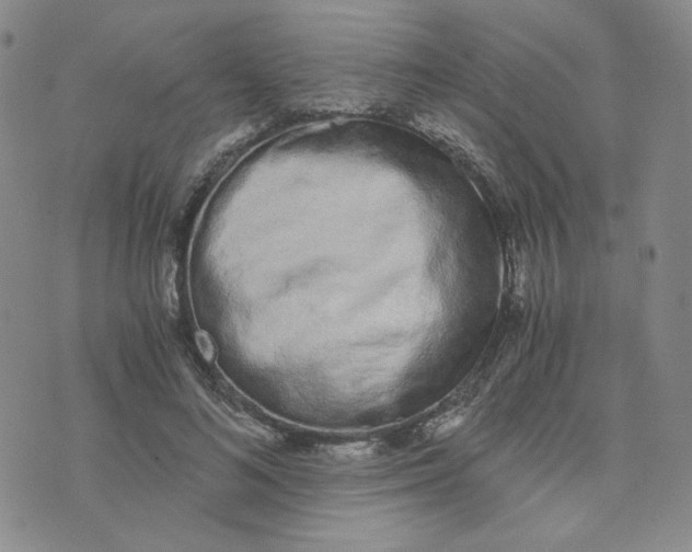 X0000076250692200610191649