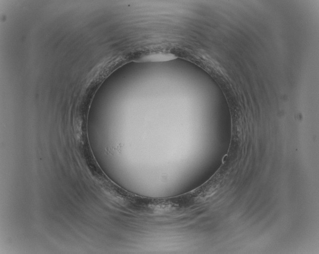 X0000076250693200610191649