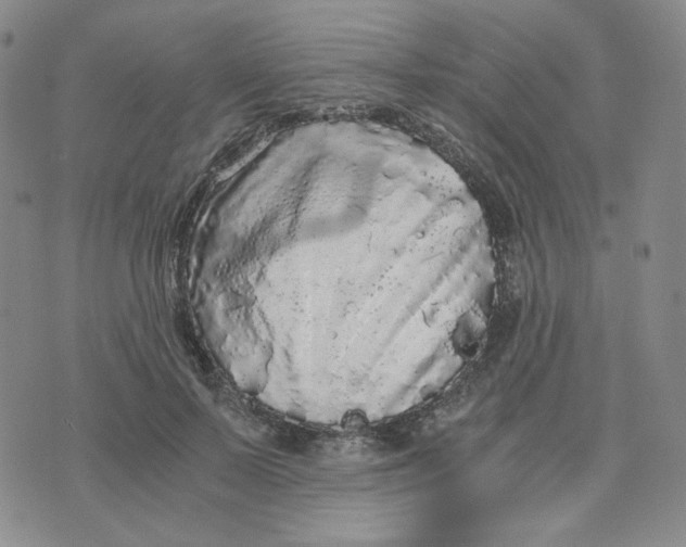 X0000076250695200610191649