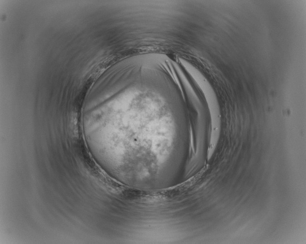 X0000076250696200610191649