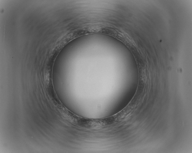 X0000076250697200610191649