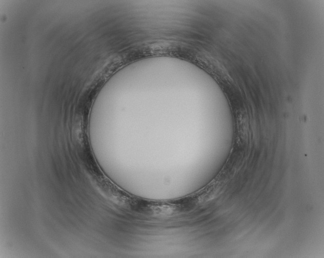 X0000076250698200610191649