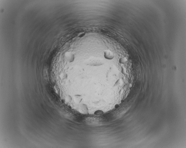 X0000076250699200610191649