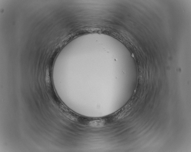 X0000076250700200610191649