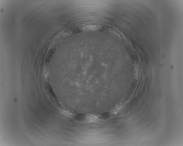 X0000076250701200610191649