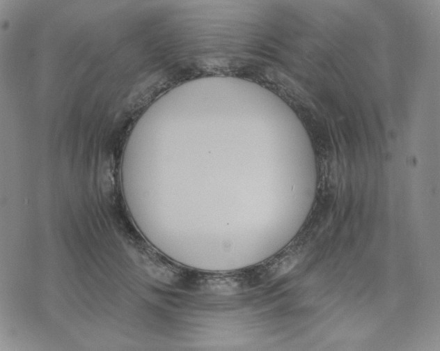 X0000076250702200610191649