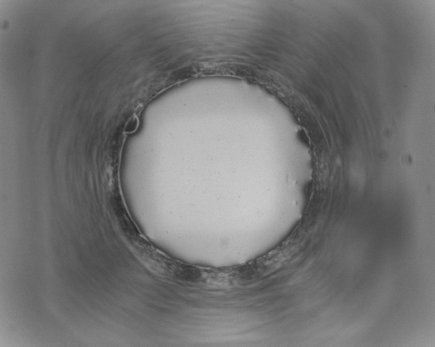 X0000076250703200610191649