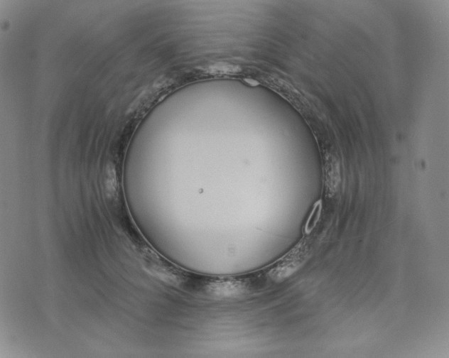 X0000076250704200610191649