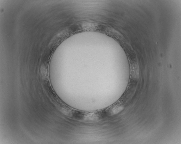 X0000076250705200610191649