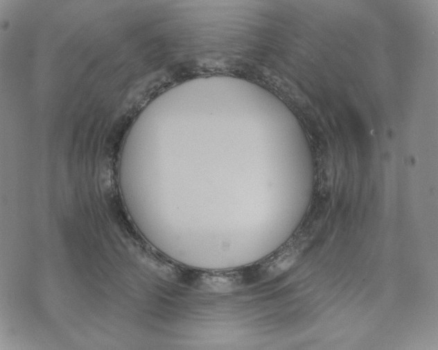 X0000076250706200610191649