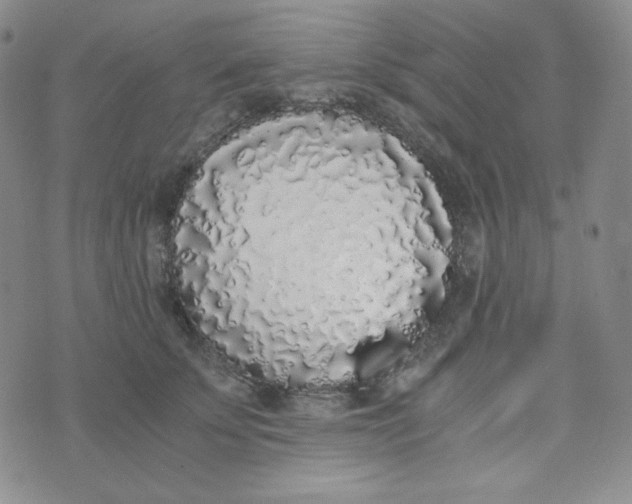 X0000076250707200610191649