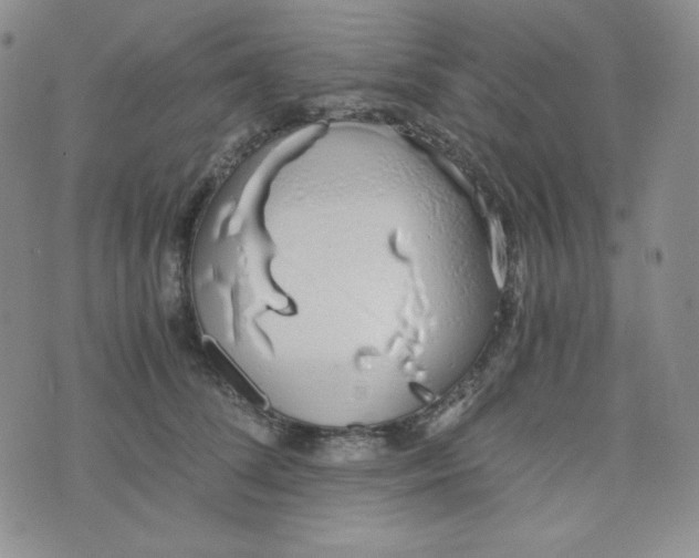 X0000076250708200610191649