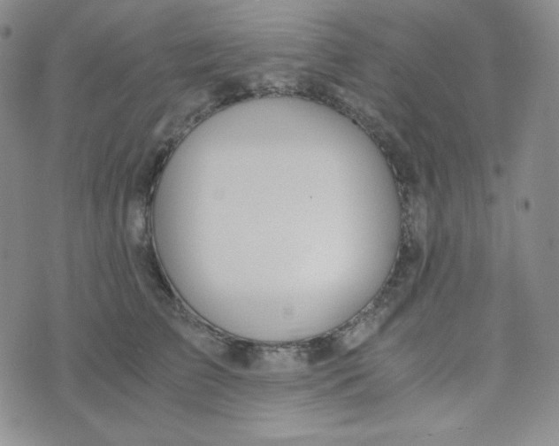 X0000076250709200610191649