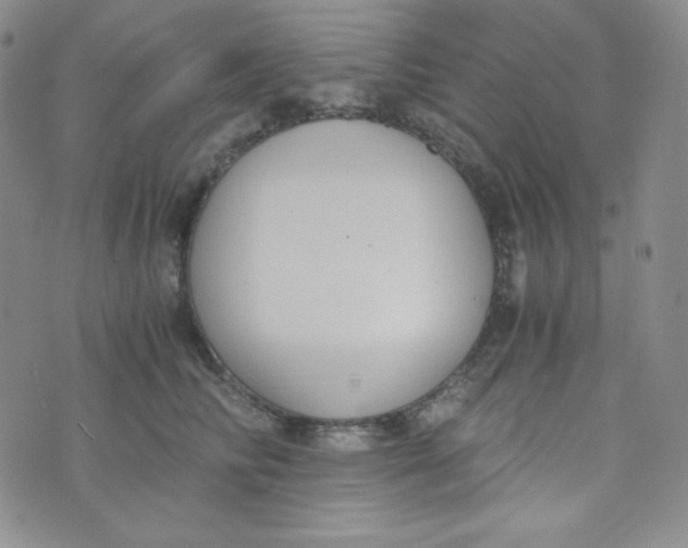 X0000076250710200610191649