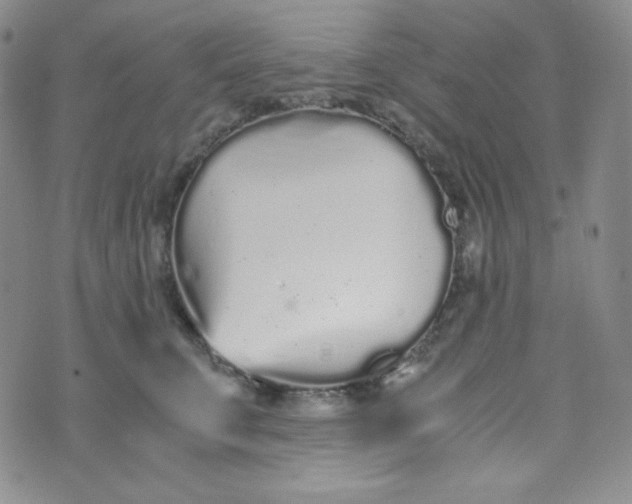 X0000076250711200610191649