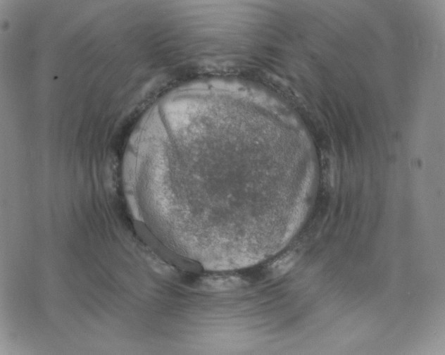 X0000076250712200610191649