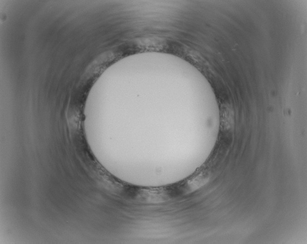 X0000076250713200610191649