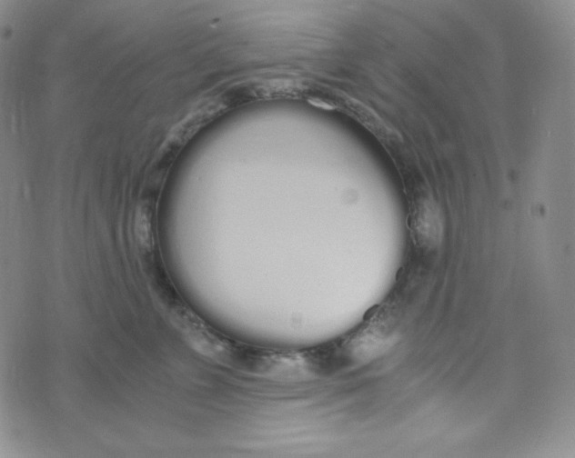 X0000076250715200610191649