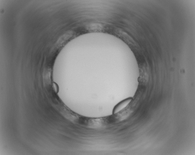 X0000076250717200610191649