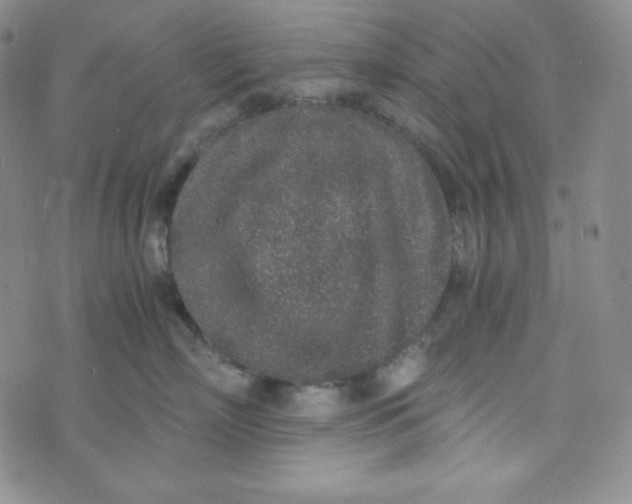 X0000076250718200610191649