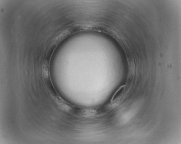 X0000076250719200610191649