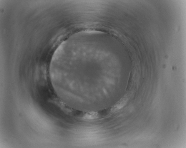 X0000076250720200610191649