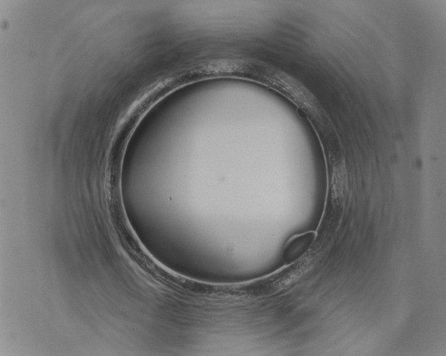 X0000076250722200610191648