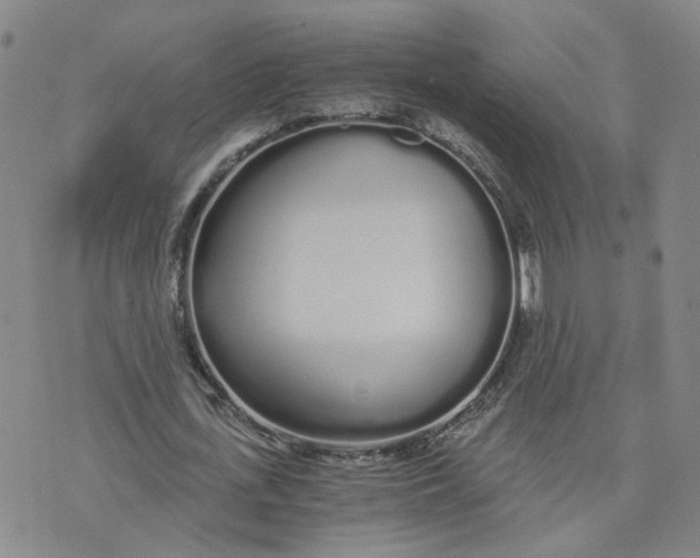 X0000076250723200610191648