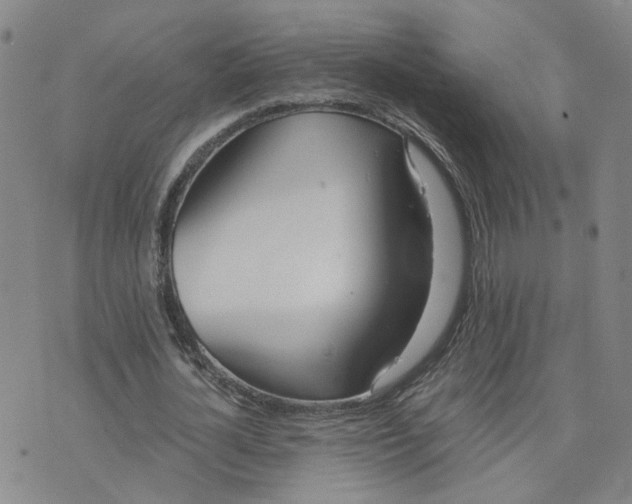 X0000076250724200610191648