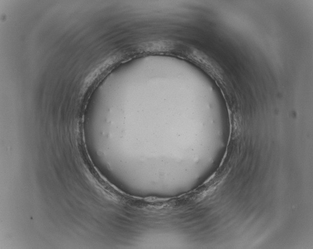 X0000076250725200610191648