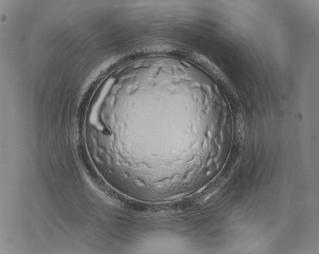 X0000076250726200610191648