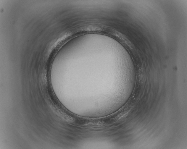 X0000076250727200610191648