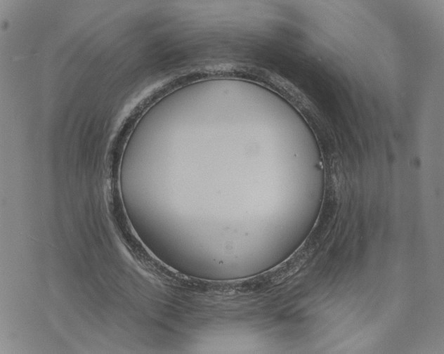 X0000076250728200610191648