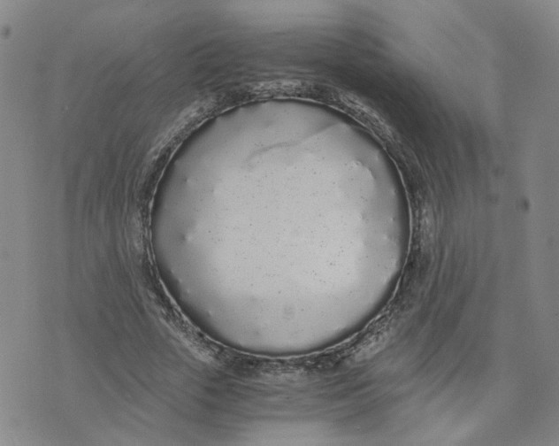 X0000076250729200610191648