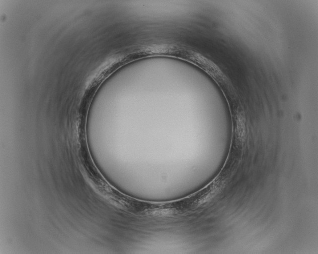 X0000076250730200610191648