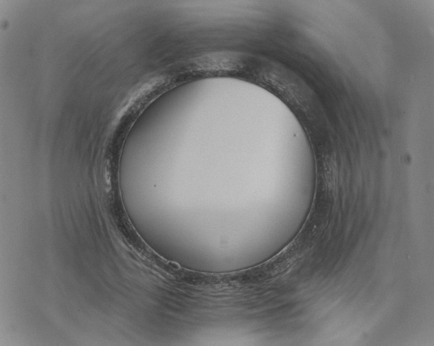 X0000076250731200610191648