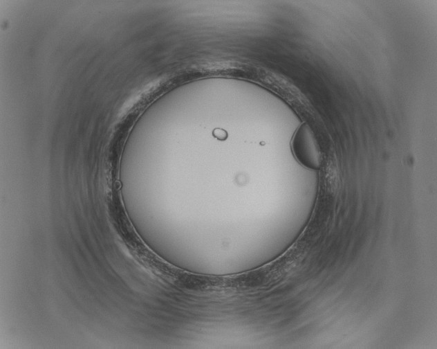 X0000076250732200610191648