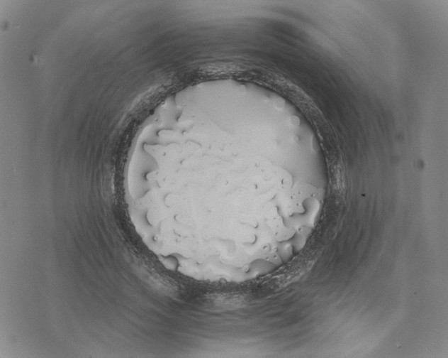 X0000076250733200610191648