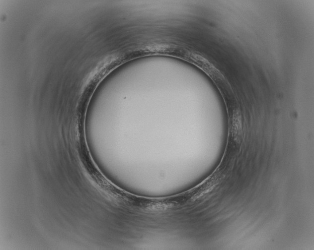 X0000076250734200610191648