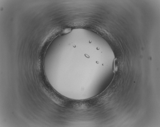 X0000076250735200610191648