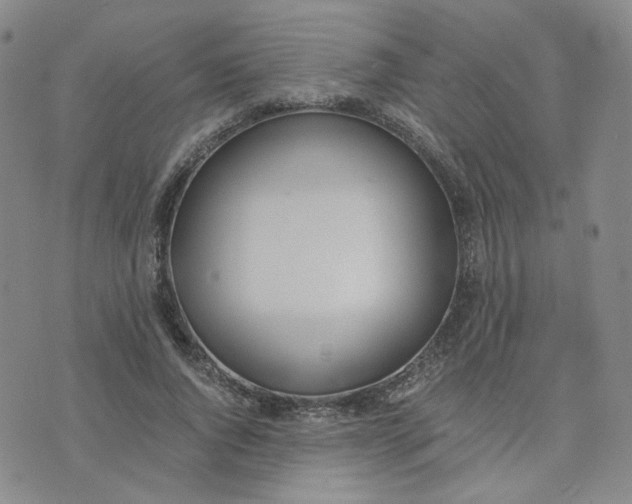 X0000076250736200610191648