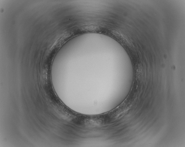 X0000076250739200610191648