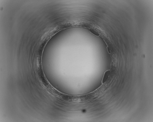 X0000076250740200610191648