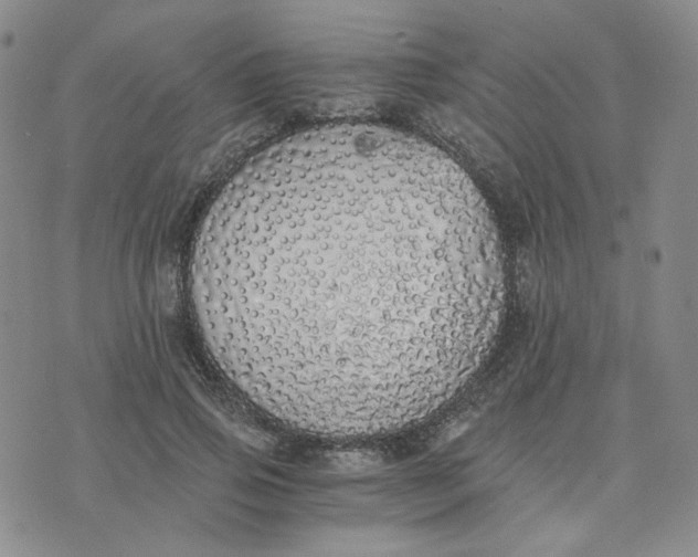 X0000076250741200610191648