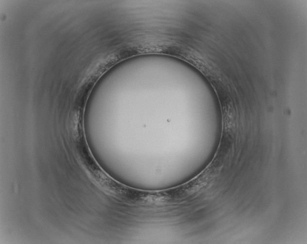 X0000076250742200610191648