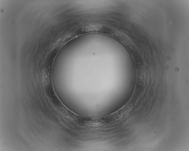 X0000076250743200610191648