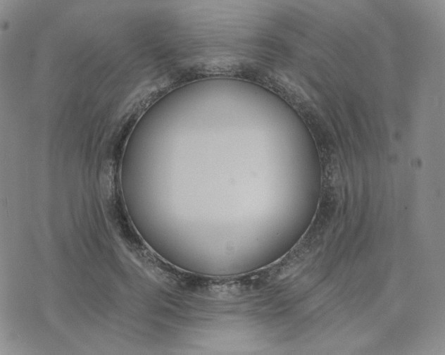 X0000076250744200610191648